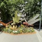Debreceni Virágkarnevál Debrecen - Külső kép