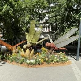Debreceni Virágkarnevál Debrecen - Külső kép