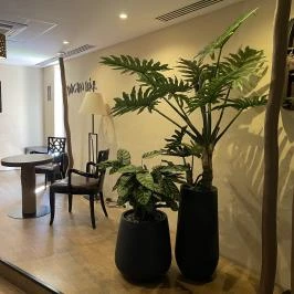 Dogon Wellness Bár Felsőtárkány - Egyéb