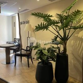 Dogon Wellness Bár Felsőtárkány - Egyéb