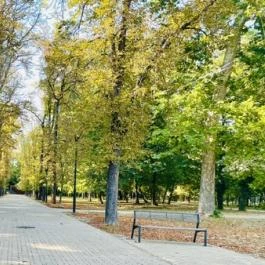 Érsekkert, Kalocsa - Külső kép
