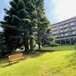 Fagus Hotel, Sopron - Egyéb