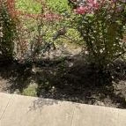 Fagus Hotel Sopron - Egyéb