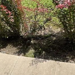 Fagus Hotel, Sopron - Egyéb