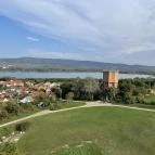 Fellner Jakab-kilátó Tata - Egyéb