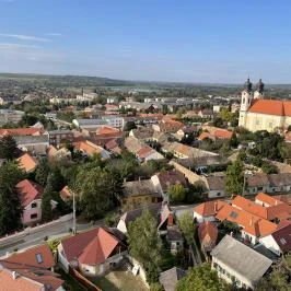 Fellner Jakab-kilátó Tata - Egyéb