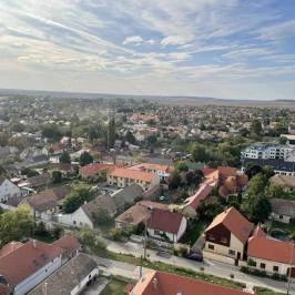 Fellner Jakab-kilátó Tata - Egyéb