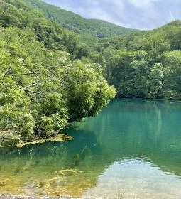 Felső-tó, Sipovics tengerszem