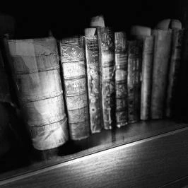 Festetics-kastély, Dég - Egyéb