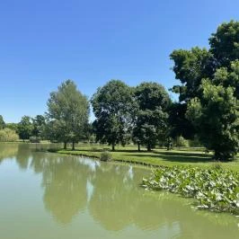 Festetics-kastély, Dég - Egyéb