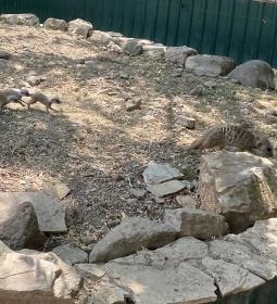 Gyöngyösi Állatkert