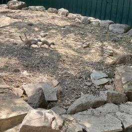 Gyöngyösi Állatkert Gyöngyös - Egyéb