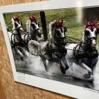 Hajtókocsi múzeum Szilvásvárad - Egyéb