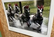 Hajtókocsi múzeum Szilvásvárad