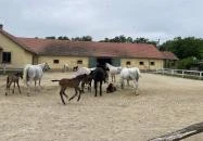 Hajtókocsi múzeum Szilvásvárad