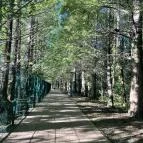 Hévízi-tó Hévíz - Egyéb