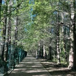 Hévízi-tó Hévíz - Egyéb