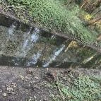 Hévízi-tó Hévíz - Egyéb