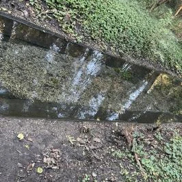 Hévízi-tó Hévíz - Egyéb