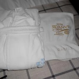 Silvanus Wellness & Konferencia Hotel, Visegrád - Szobák