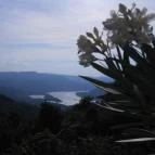 Silvanus Wellness & Konferencia Hotel Visegrád - Környék