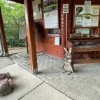 Kecskeméti Arborétum Kecskemét - Egyéb