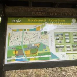 Kecskeméti Arborétum, Kecskemét - Egyéb