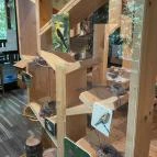 Kőhalmy Vadászati Múzeum Sopron - Egyéb