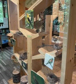 Kőhalmy Vadászati Múzeum