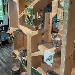 Kőhalmy Vadászati Múzeum Sopron - Egyéb