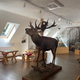 Kőhalmy Vadászati Múzeum Sopron - Egyéb