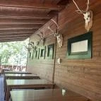 Kőhalmy Vadászati Múzeum Sopron - Egyéb