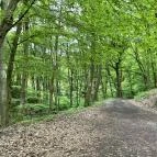 Kós Károly kilátó Zebegény - Egyéb