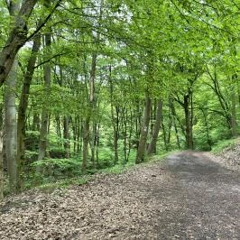 Kós Károly kilátó Zebegény - Egyéb