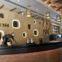 Kroko Bár Felsőtárkány - Egyéb