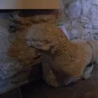 Kuny Domokos Múzeum Tata - 