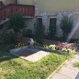 Kustánygyöngye Vendégház Kehidakustány - Medence/kert