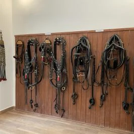 Lipicai Lótenyésztés Történeti Kiállítás, Szilvásvárad - Egyéb