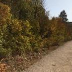 Pannonhalmi Főapátság Pannonhalma - 