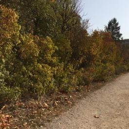 Pannonhalmi Főapátság Pannonhalma - Egyéb