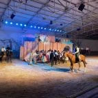 Magyar Lovas Színház Komárom - Egyéb