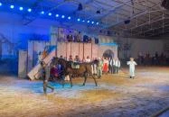 Magyar Lovas Színház Komárom