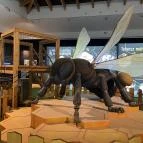 Magyar Természettudományi Múzeum Budapest - Egyéb