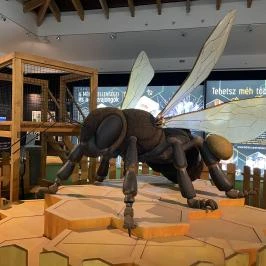 Magyar Természettudományi Múzeum Budapest - Egyéb