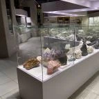 Magyar Természettudományi Múzeum Budapest - Egyéb