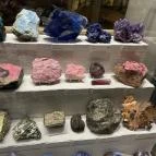 Magyar Természettudományi Múzeum Budapest - Egyéb