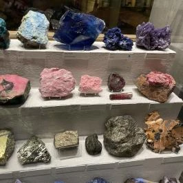 Magyar Természettudományi Múzeum Budapest - Egyéb