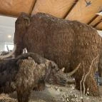 Magyar Természettudományi Múzeum Budapest - Egyéb