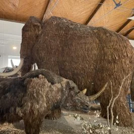 Magyar Természettudományi Múzeum Budapest - Egyéb