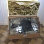 MTM Bakonyi Természettudományi Múzeuma Zirc - 